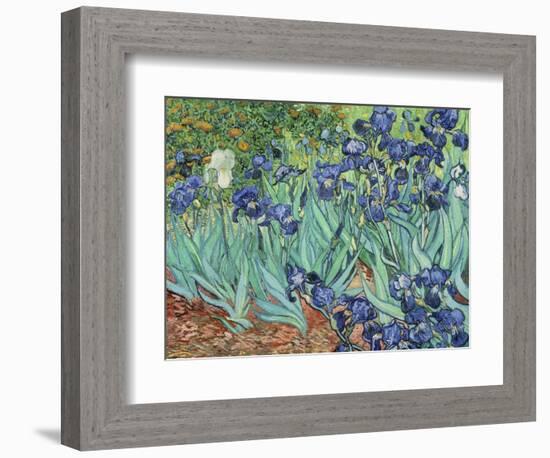 Irises, 1889-Vincent van Gogh-Framed Giclee Print