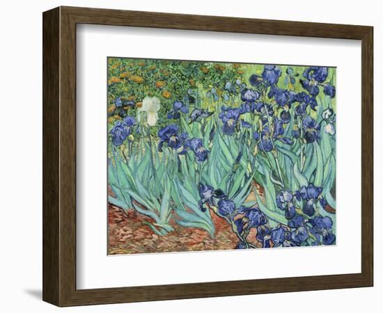 Irises, 1889-Vincent van Gogh-Framed Giclee Print