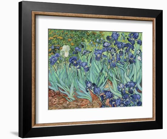 Irises, 1889-Vincent van Gogh-Framed Giclee Print