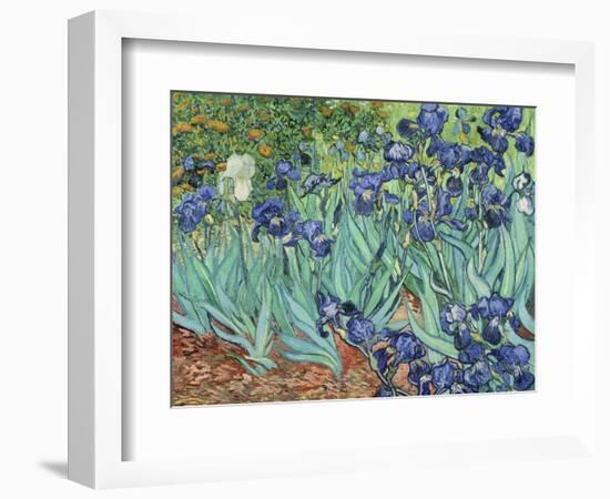 Irises, 1889-Vincent van Gogh-Framed Giclee Print