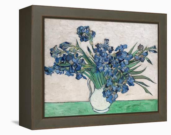 Irises, 1890 (White Vase)-Vincent van Gogh-Framed Stretched Canvas