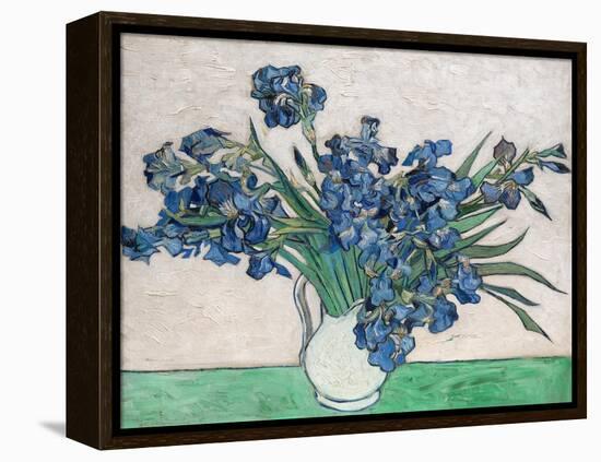 Irises, 1890 (White Vase)-Vincent van Gogh-Framed Stretched Canvas