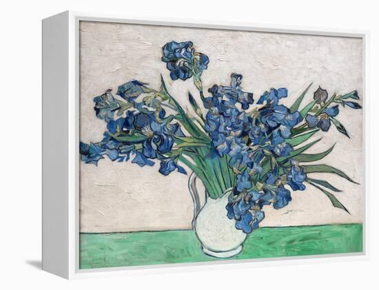 Irises, 1890 (White Vase)-Vincent van Gogh-Framed Stretched Canvas