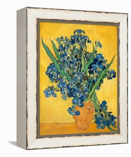 Irises, 1890-Vincent van Gogh-Framed Stretched Canvas