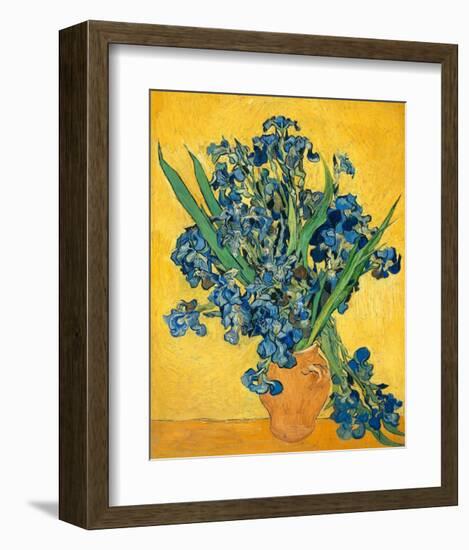 Irises, 1890-Vincent van Gogh-Framed Art Print