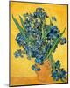 Irises, 1890-Vincent van Gogh-Mounted Art Print