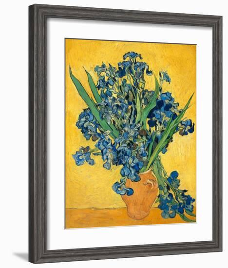 Irises, 1890-Vincent van Gogh-Framed Art Print