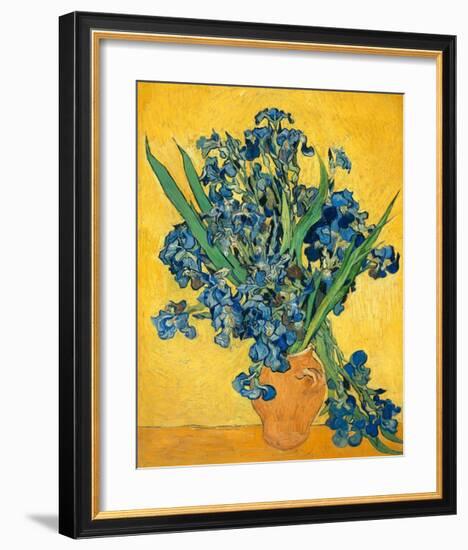 Irises, 1890-Vincent van Gogh-Framed Art Print