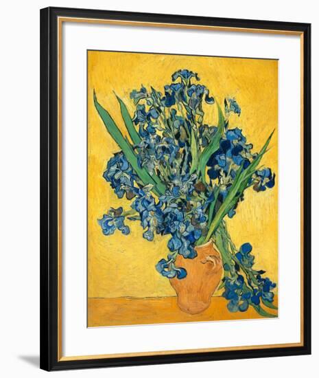 Irises, 1890-Vincent van Gogh-Framed Art Print