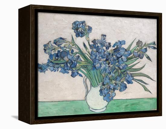 Irises, 1890-Vincent van Gogh-Framed Premier Image Canvas