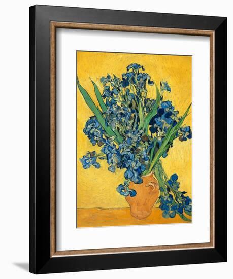 Irises, 1890-Vincent van Gogh-Framed Premium Giclee Print