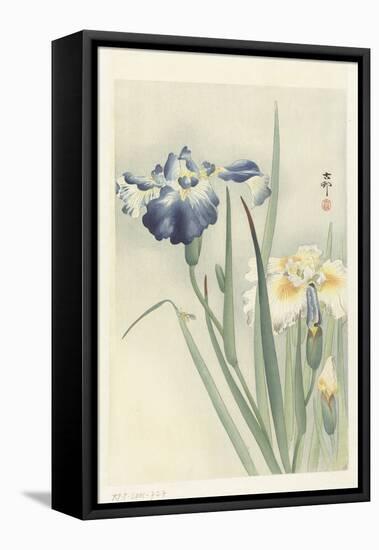 Irises, 1900-36 (Colour Woodcut)-Koson Ohara-Framed Premier Image Canvas