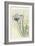 Irises, 1900-36 (Colour Woodcut)-Koson Ohara-Framed Giclee Print