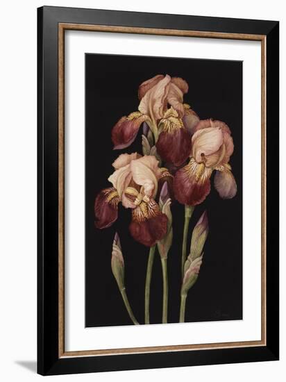 Irises, 2004-Jenny Barron-Framed Giclee Print