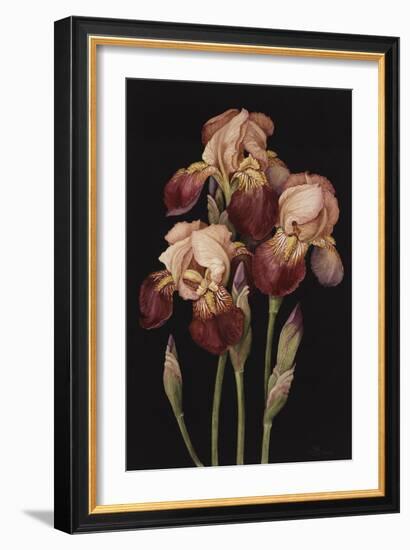 Irises, 2004-Jenny Barron-Framed Giclee Print