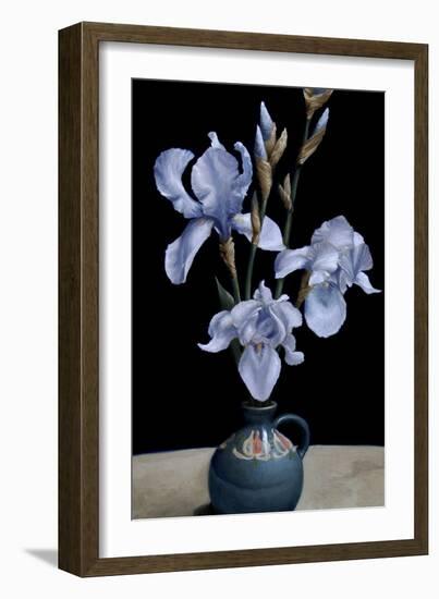 Irises, 2010-James Gillick-Framed Giclee Print