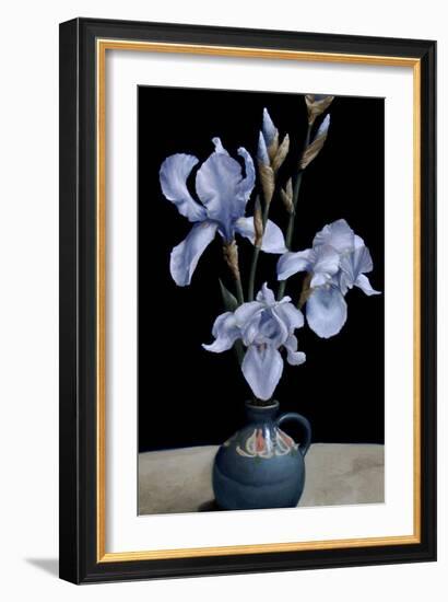 Irises, 2010-James Gillick-Framed Giclee Print
