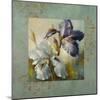 Irises after the Rain-Lanie Loreth-Mounted Premium Giclee Print