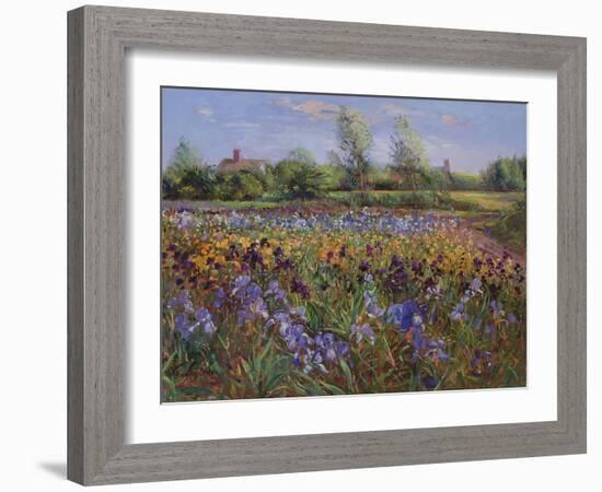 Irises and Burgate Green-Timothy Easton-Framed Giclee Print