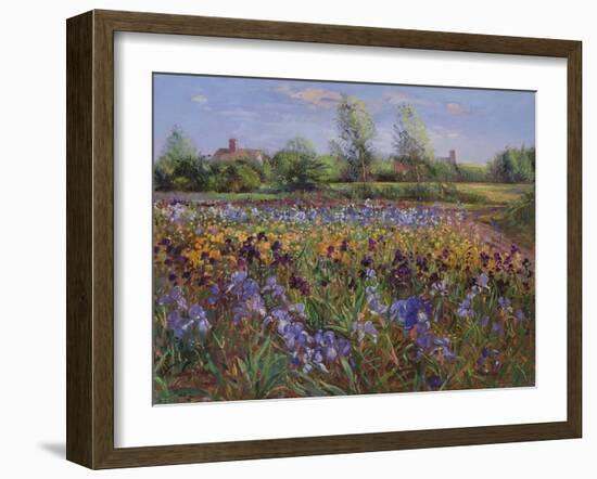 Irises and Burgate Green-Timothy Easton-Framed Giclee Print