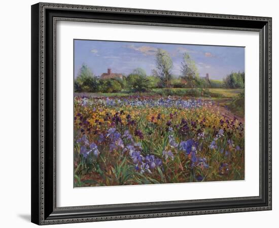 Irises and Burgate Green-Timothy Easton-Framed Giclee Print