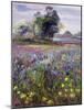 Irises and Distant May Tree, 1993-Timothy Easton-Mounted Giclee Print