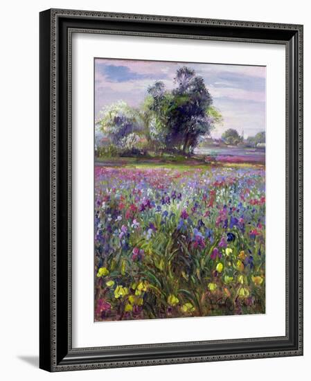 Irises and Distant May Tree, 1993-Timothy Easton-Framed Giclee Print