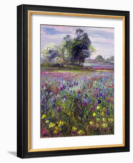 Irises and Distant May Tree, 1993-Timothy Easton-Framed Giclee Print