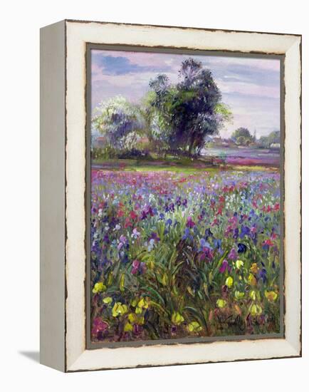 Irises and Distant May Tree, 1993-Timothy Easton-Framed Premier Image Canvas