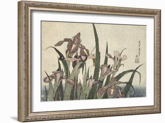 Irises and Grasshopper, Pub. by Nishimura Eijudo, C.1832-Katsushika Hokusai-Framed Giclee Print