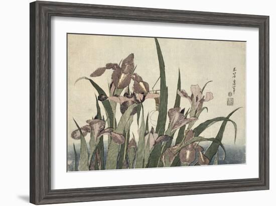 Irises and Grasshopper, Pub. by Nishimura Eijudo, C.1832-Katsushika Hokusai-Framed Giclee Print