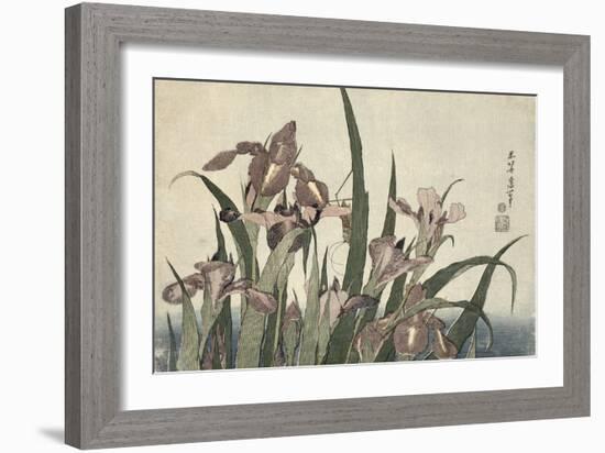 Irises and Grasshopper, Pub. by Nishimura Eijudo, C.1832-Katsushika Hokusai-Framed Giclee Print
