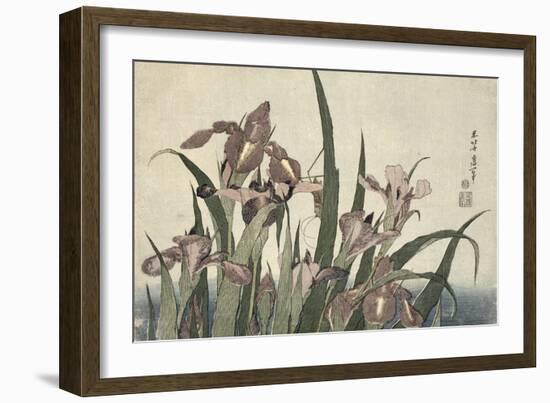 Irises and Grasshopper, Pub. by Nishimura Eijudo, C.1832-Katsushika Hokusai-Framed Giclee Print