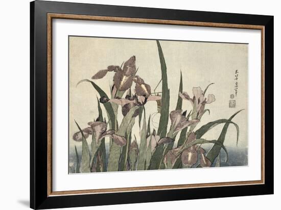 Irises and Grasshopper, Pub. by Nishimura Eijudo, C.1832-Katsushika Hokusai-Framed Giclee Print