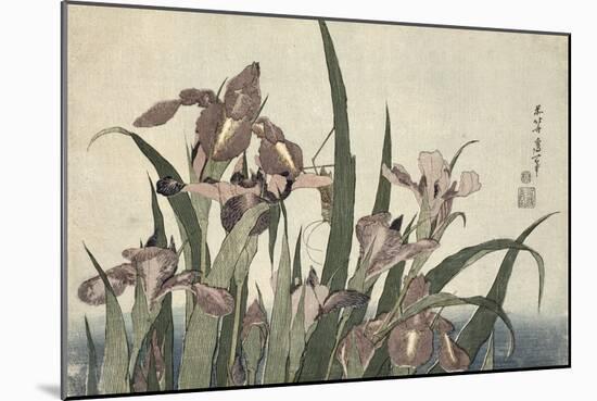 Irises and Grasshopper, Pub. by Nishimura Eijudo, C.1832-Katsushika Hokusai-Mounted Giclee Print