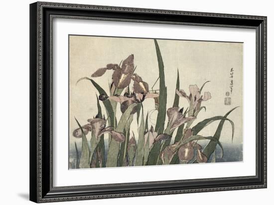 Irises and Grasshopper, Pub. by Nishimura Eijudo, C.1832-Katsushika Hokusai-Framed Giclee Print