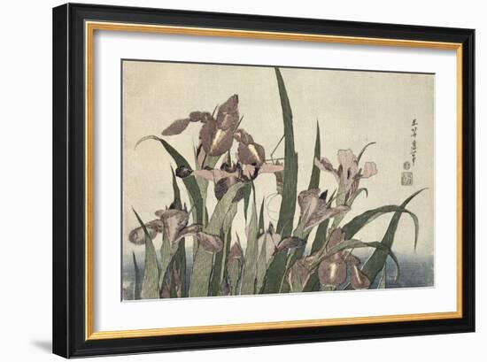 Irises and Grasshopper, Pub. by Nishimura Eijudo, C.1832-Katsushika Hokusai-Framed Giclee Print