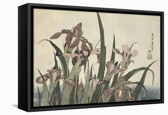 Irises and Grasshopper, Pub. by Nishimura Eijudo, C.1832-Katsushika Hokusai-Framed Premier Image Canvas