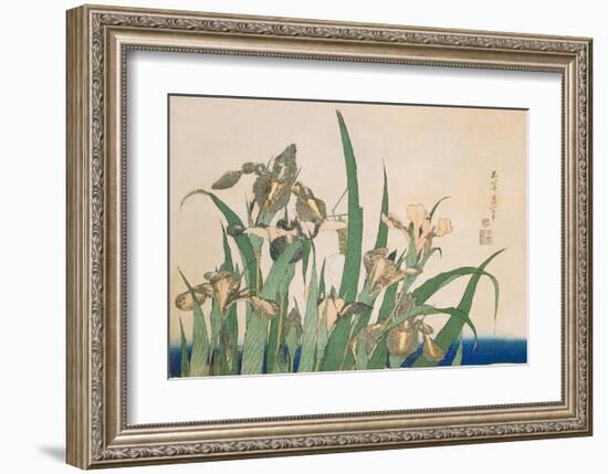 Irises and Grasshopper-Katsushika Hokusai-Framed Art Print