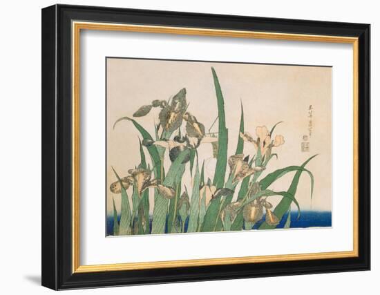 Irises and Grasshopper-Katsushika Hokusai-Framed Art Print