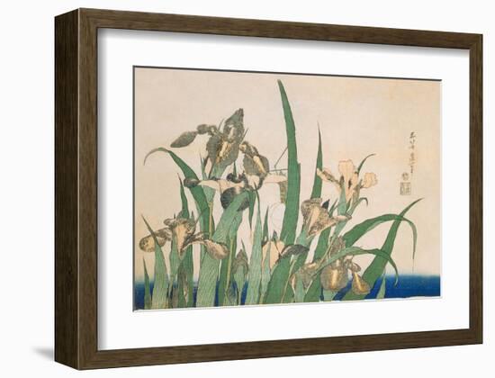 Irises and Grasshopper-Katsushika Hokusai-Framed Art Print