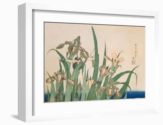 Irises and Grasshopper-Katsushika Hokusai-Framed Art Print