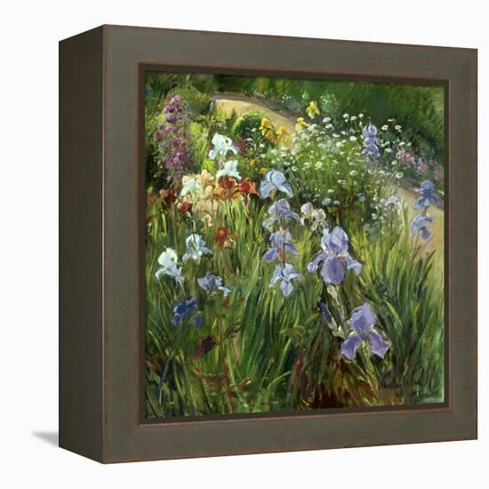 Irises and Oxeye Daisies, 1997-Timothy Easton-Framed Premier Image Canvas