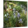 Irises and Oxeye Daisies, 1997-Timothy Easton-Mounted Giclee Print