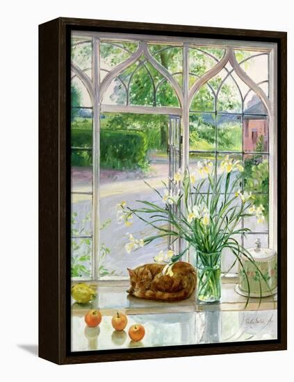 Irises and Sleeping Cat, 1990-Timothy Easton-Framed Premier Image Canvas