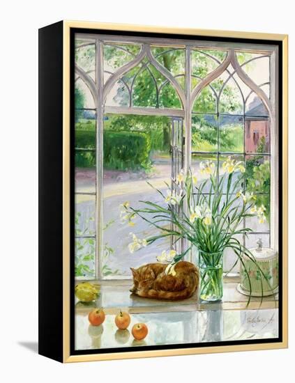 Irises and Sleeping Cat, 1990-Timothy Easton-Framed Premier Image Canvas