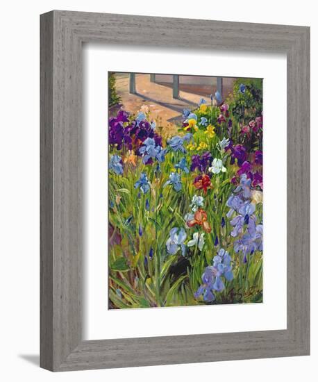 Irises and Summer House Shadows, 1996-Timothy Easton-Framed Giclee Print