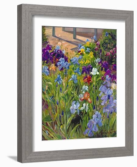 Irises and Summer House Shadows, 1996-Timothy Easton-Framed Giclee Print