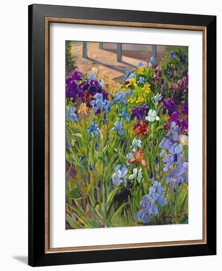 Irises and Summer House Shadows, 1996-Timothy Easton-Framed Giclee Print