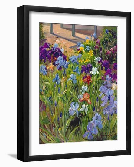 Irises and Summer House Shadows, 1996-Timothy Easton-Framed Giclee Print